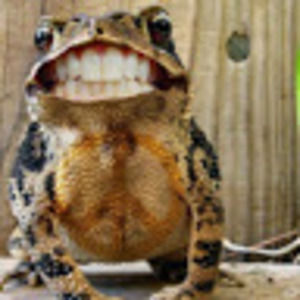 Meet your Posher, Alan&sheila